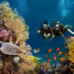 Rekomendasi Wisata Manado