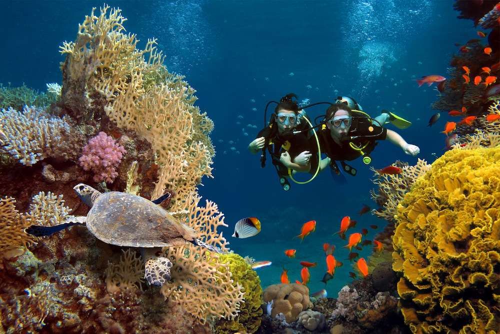 Rekomendasi Wisata Manado